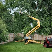 Best Lawn Watering Services  in Clute, TX
