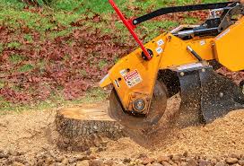 Best Tree Cabling and Bracing  in Clute, TX
